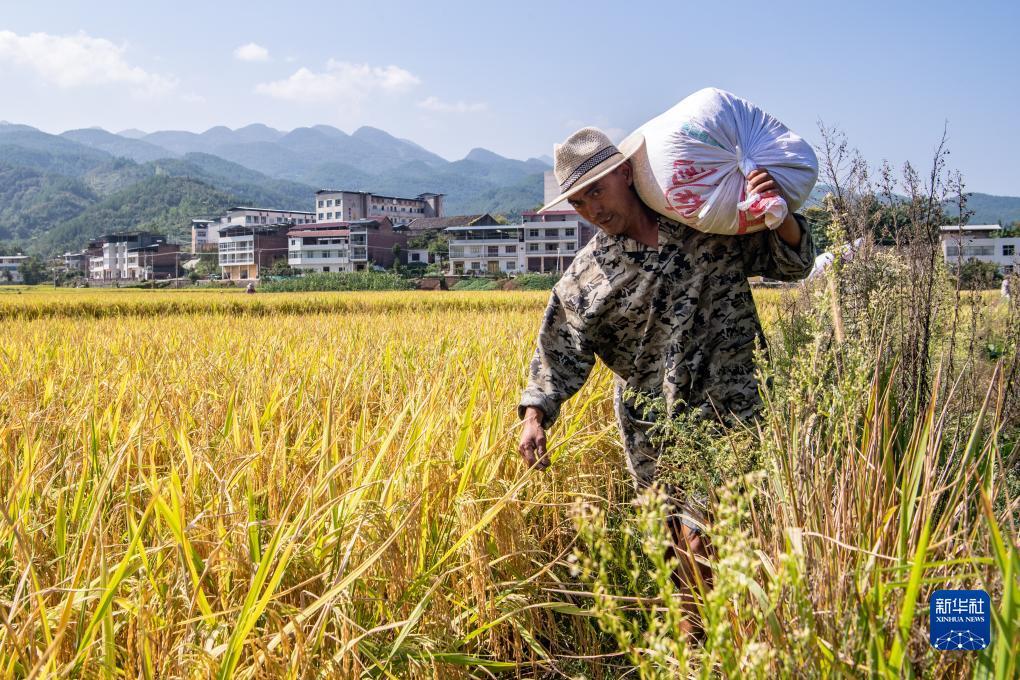 bg博冠平台